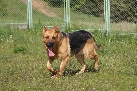 Karen.Czasami wolałabym żyć samotnie...,  kujawsko