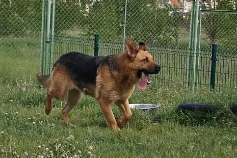 Karen.Czasami wolałabym żyć samotnie...,  kujawsko