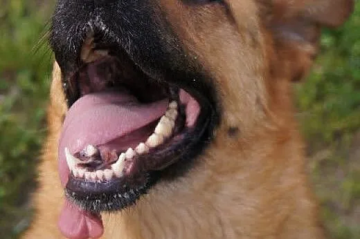 Karen.Czasami wolałabym żyć samotnie...,  kujawsko