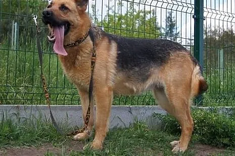 Karen.Czasami wolałabym żyć samotnie...,  kujawsko