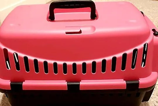 Transporter dla zwierzaczka.