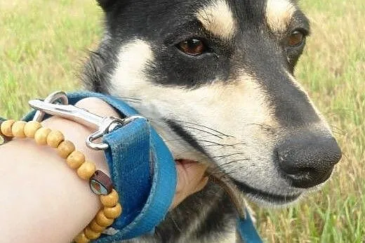 Vega - kto mnie pokocha? Kto zabierze mnie z tego 