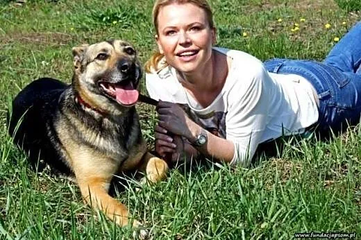 KENIA- sunia mix owczarek- pięknie prosi o dom,  m