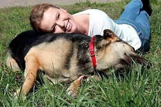 KENIA- sunia mix owczarek- pięknie prosi o dom,  m