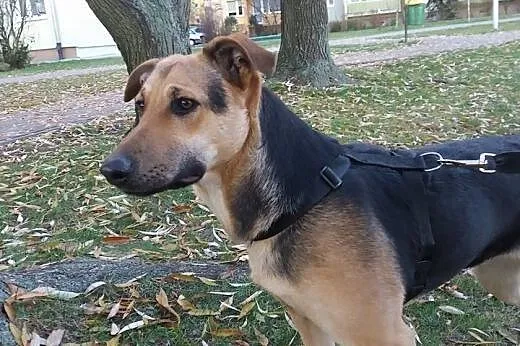 Tola szuka swoich ludzi na zawsze,  łódzkie Łódź