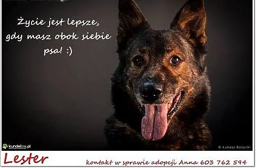 Czasem tak bywa że człowiek nie chce ale życie Go