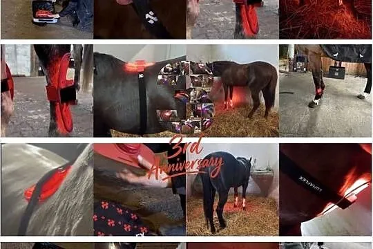 Lumaflex Essential DUO Horse & Human | Zestaw 3 Paneli LED Terapia, Świętokrzyskie, Michałów