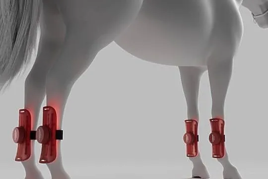 Lumaflex Essential DUO Horse & Human | Zestaw 3 Paneli LED Terapia, Świętokrzyskie, Michałów