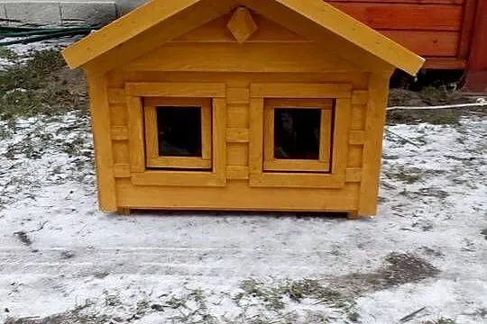 Domek dla kilku kotów-Promocja!, Opolskie, Grodziec