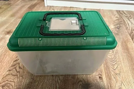 Terrarium / transporter