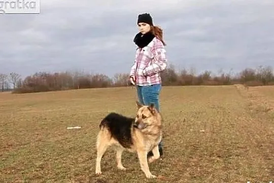 Nemo pragnie aby ktoś go adoptował i pokochał całym sercem, Mazowieckie, Warszawa