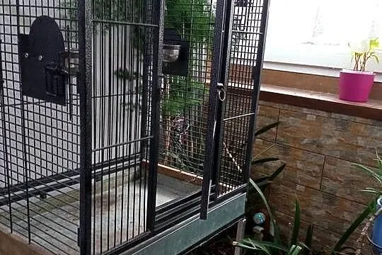 Sprzedam klatkę -Woliere dla ptaków