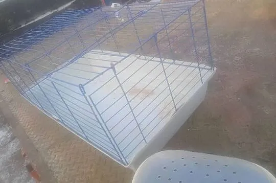 Klatka dla królika 1 m świnki kuweta pralka Frania światowi, Kujawsko-pomorskie, Czernikowo