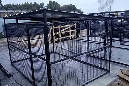 Kojce Dla Piesków Super Ceny!!, Kujawsko-pomorskie, Toruń