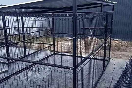 Kojce Dla Piesków Super Ceny!!, Kujawsko-pomorskie, Toruń