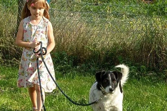 Dzieciolubny Dropek, grzeczny psiak w kropki szuka