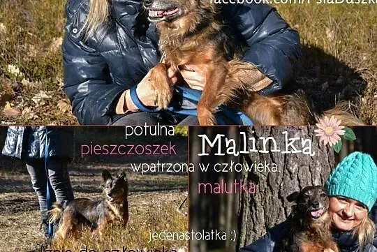 suczka-Malinka, Śląskie, Częstochowa
