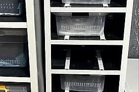Rack system, Śląskie, Pszczyna