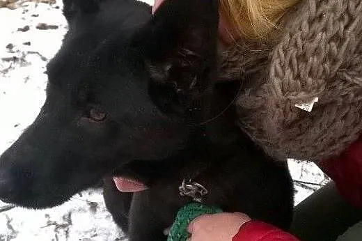 NEGRA młoda żywiołowa sunia marzy o wspaniałym dom