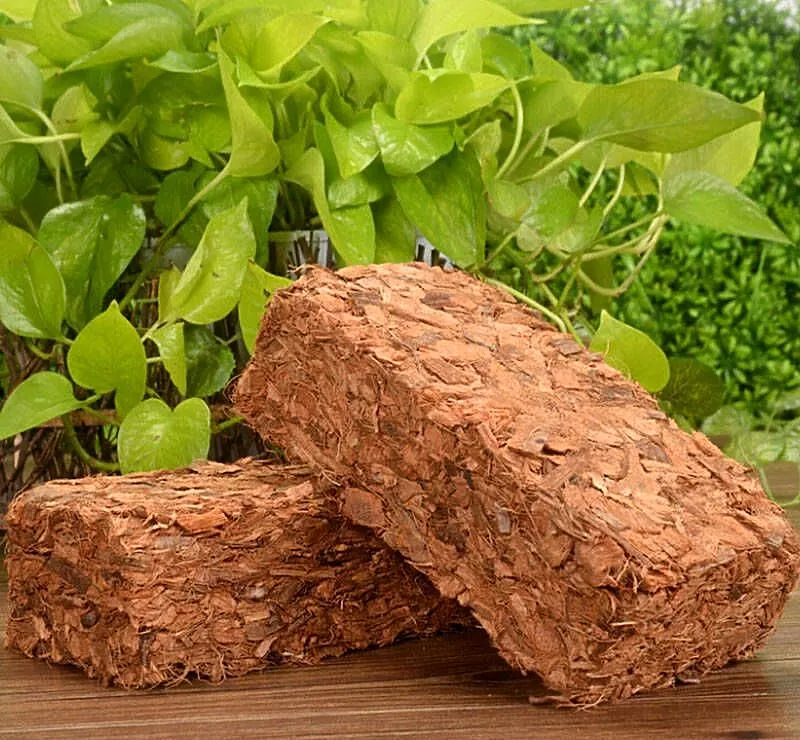 Chips kokosowy naturalny kokos CHIPS brykiet 500g kostka, Śląskie, Bełk