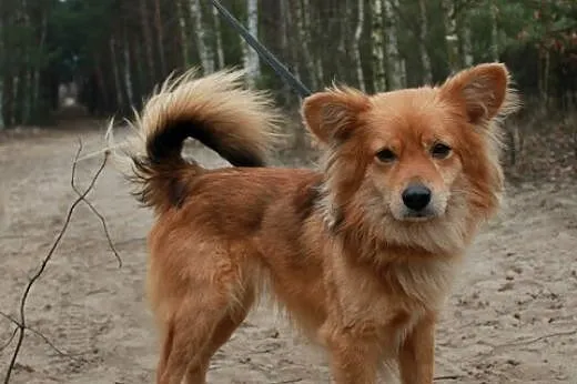 Będzie Sajgon!,  kujawsko-pomorskie Bydgoszcz
