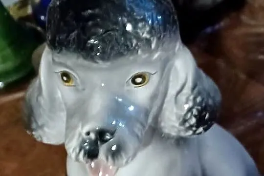PUDEL CERAMIKA FIGURA BEZ SYGNATURY, Wielkopolskie, Poznań