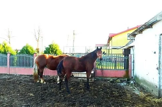 Sprzedam lub zamienie