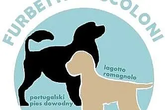 Portugalski pies dowodny szczenięta pieski suczki, Kujawsko-pomorskie, Makówiec