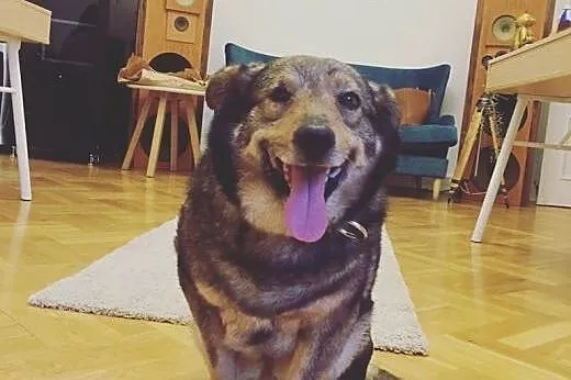 Wesołe jest życie Nikusia! Dostał szansę i czeka n