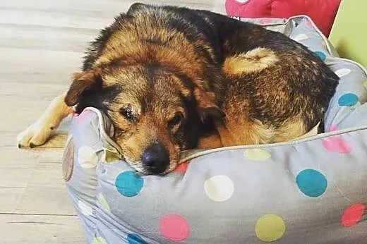 Wesołe jest życie Nikusia! Dostał szansę i czeka n