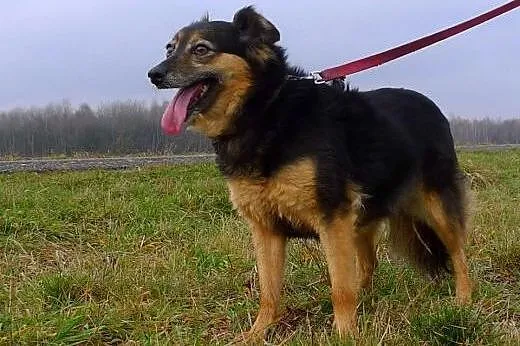 Czy kiedykolwiek doczekają się domu? pomóż!!! Dwie