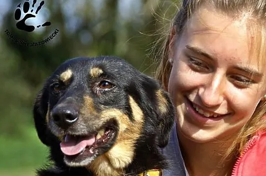 FOCUS - 4 letni cudny psiak do adopcji