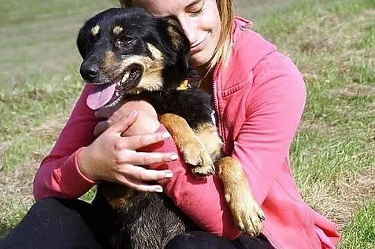FOCUS - 4 letni cudny psiak do adopcji