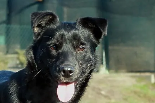 Kanga.Czy czujesz moje gorące serce?
