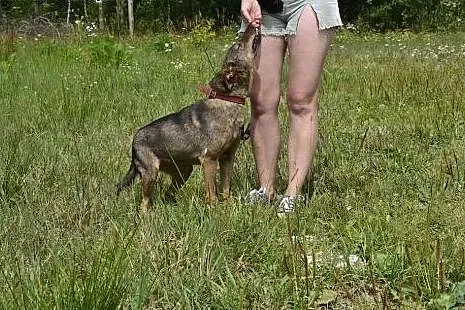 Pokochaj uroczą Brinzi... ona już traci nadzieję..