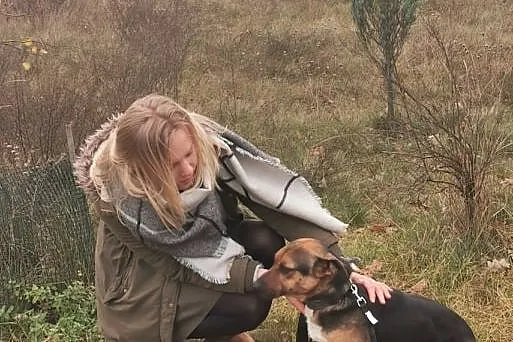 SZAGI - 1,5 roczny psiak w typie gończego polskieg