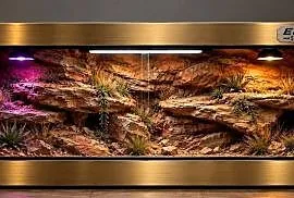Terrarium pustynne dla agamy brodatej żółwia greckiego