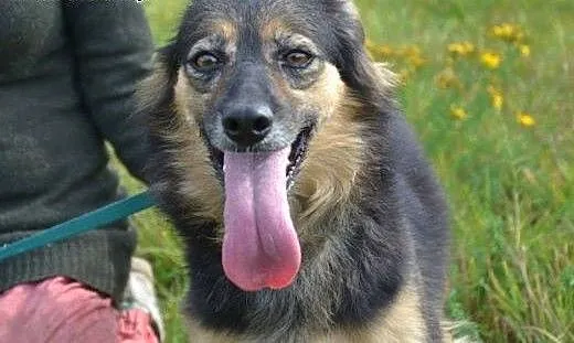 Megan i Neska-dwie przyjaciółki do wspólnej adopcj