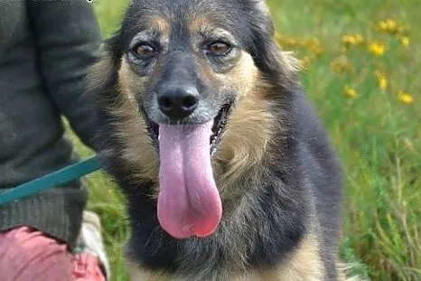 Megan i Neska-dwie przyjaciółki do wspólnej adopcj