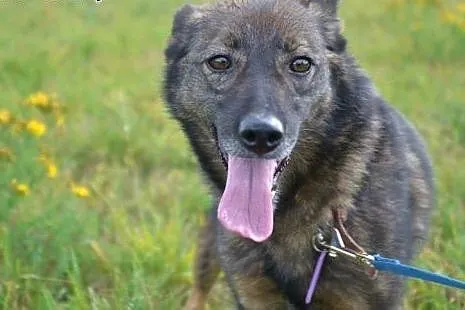 Megan i Neska-dwie przyjaciółki do wspólnej adopcj