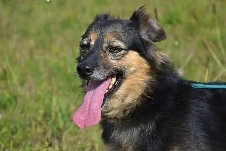 Megan i Neska-dwie przyjaciółki do wspólnej adopcj