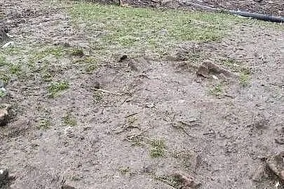 Kaczku francuskie, Dolnośląskie, Henryków