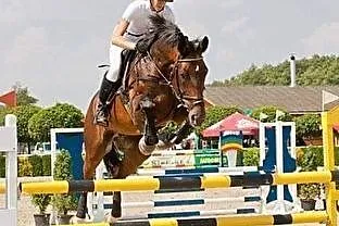 Ogier AES, , 