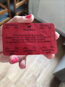 Palladia 50mg 5 tabletek dla psa, została po mojej suni..., , Kórnik