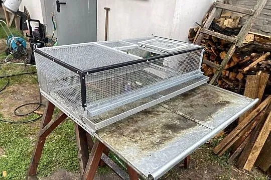 Box / klatka hodowlany dla przepiórek niosek, Małopolskie, Biórków Wielki