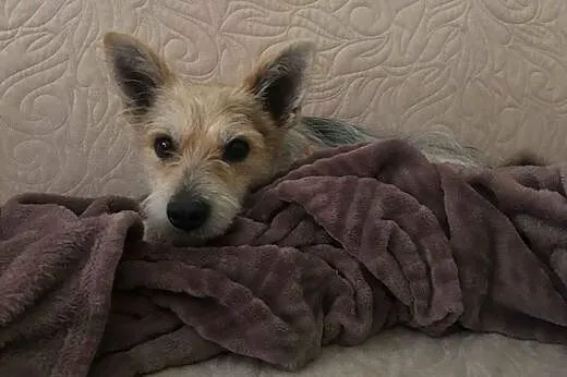Młody Felek - cudny chłopak, czy ktoś może go pokochać??,  mazowieckie Warszawa, Mazowieckie, Warszawa