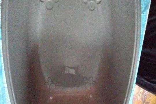 Sprzedaż kuwety zamykanej dla kota., Śląskie, Katowice