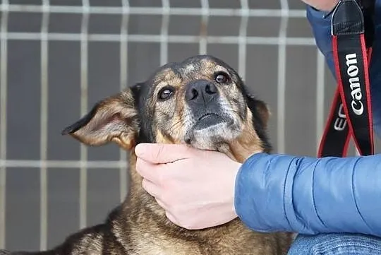 8 letni Tobi szuka domku, takiego na zawsze..., Mazowieckie, Warszawa