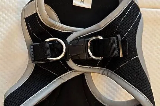 Szelki dla psa Feel Free rozmiar M, Wielkopolskie, Turek