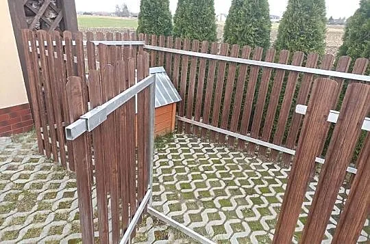 Kojec dla psa z budą